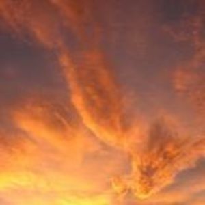 Meet your Posher, George